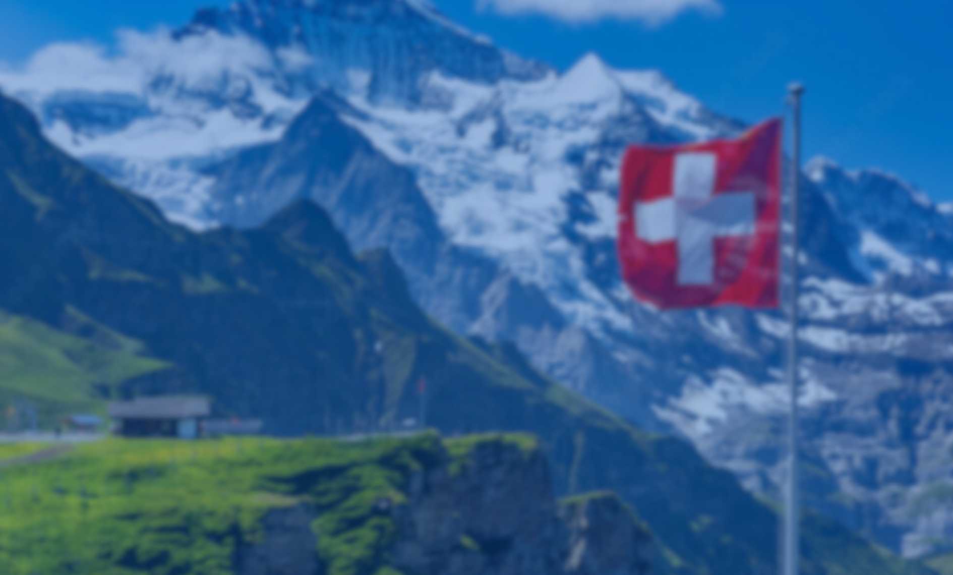 Sicherheitsfirma Schweiz