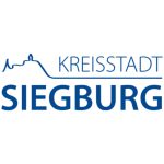 Delta Security Service